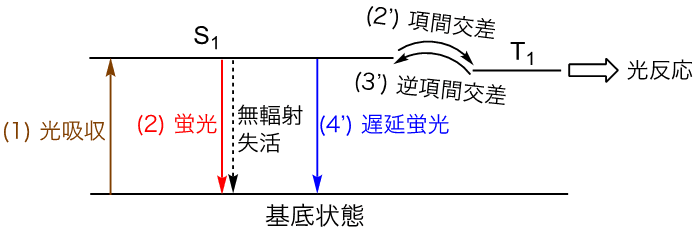 図
